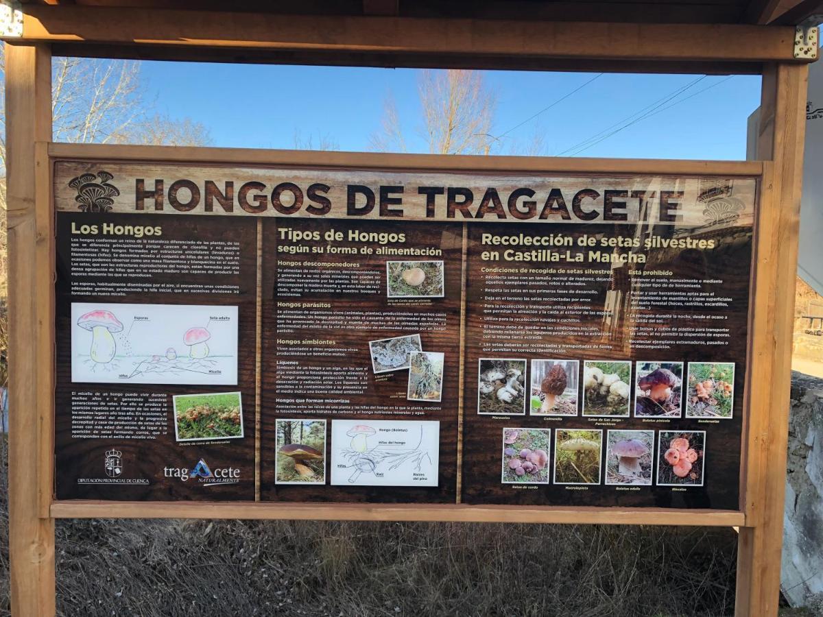 Alojamiento Rural El Morenal Tragacete Ngoại thất bức ảnh